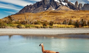 Voyage en Patagonie au Chili  1509-hd