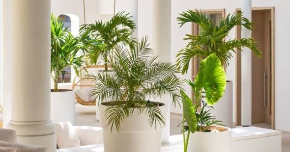 htel_lux_belle_mare_5_luxe-ile-maurice-architecture-02